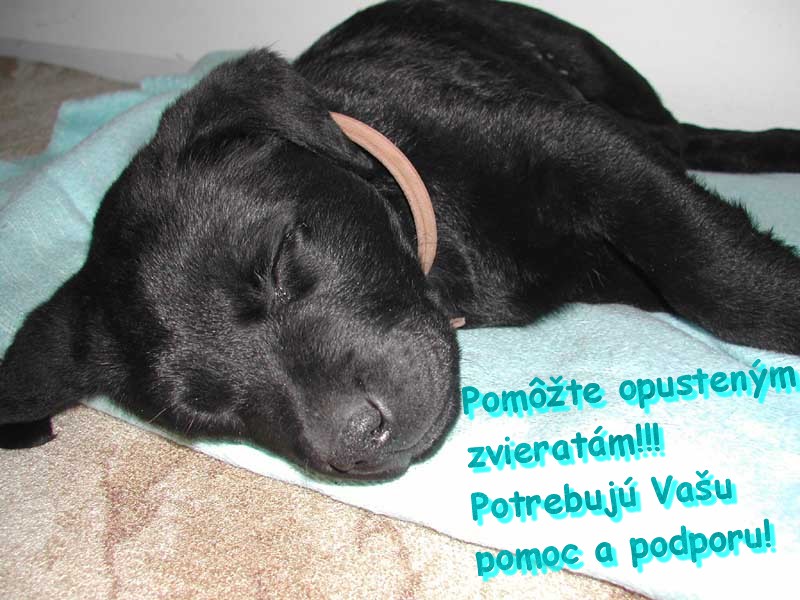 pomoc.jpg